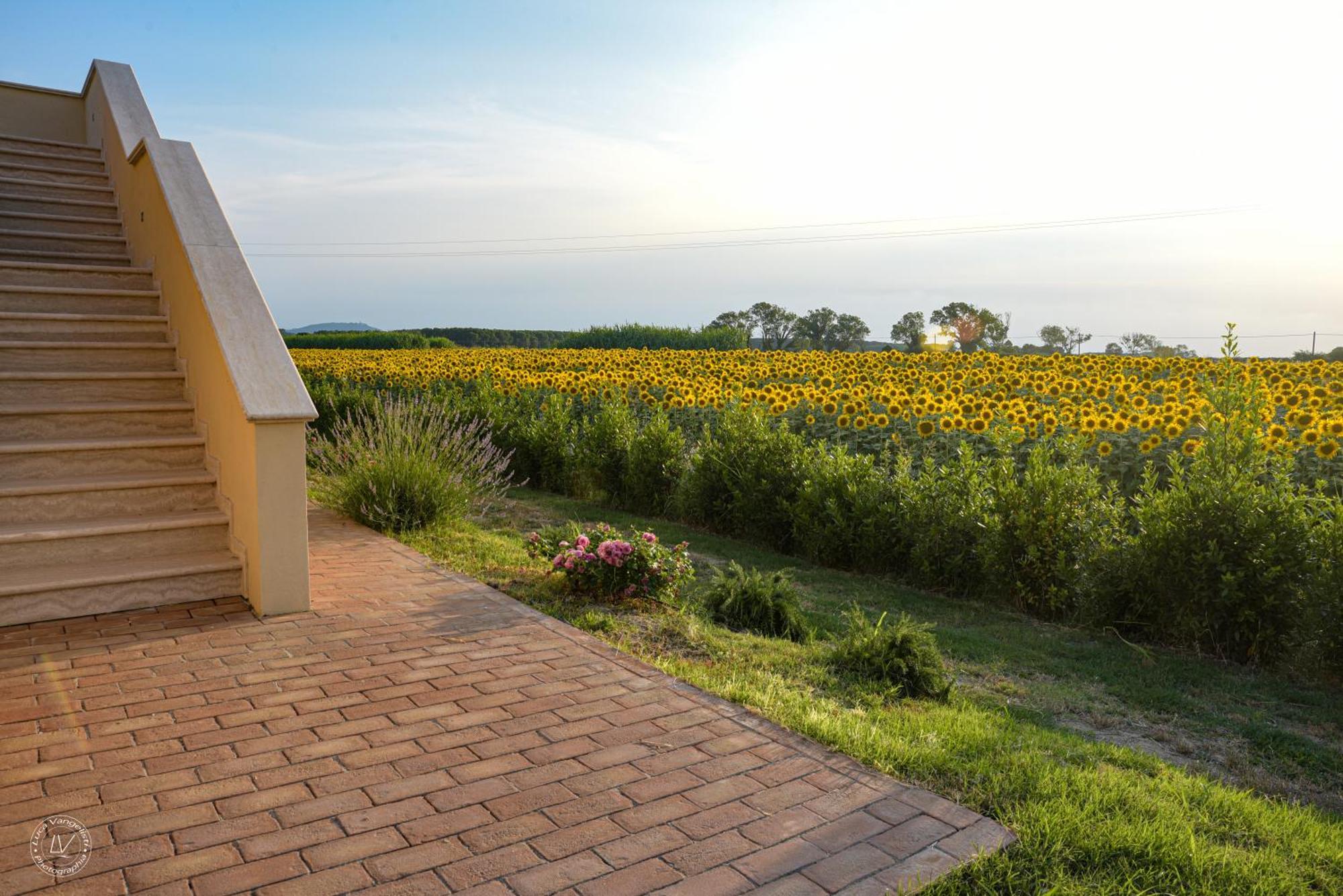 Agriturismo Villa Toscana Campiglia Marittima Exteriör bild